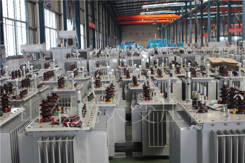 博野S22-800KVA/10KV